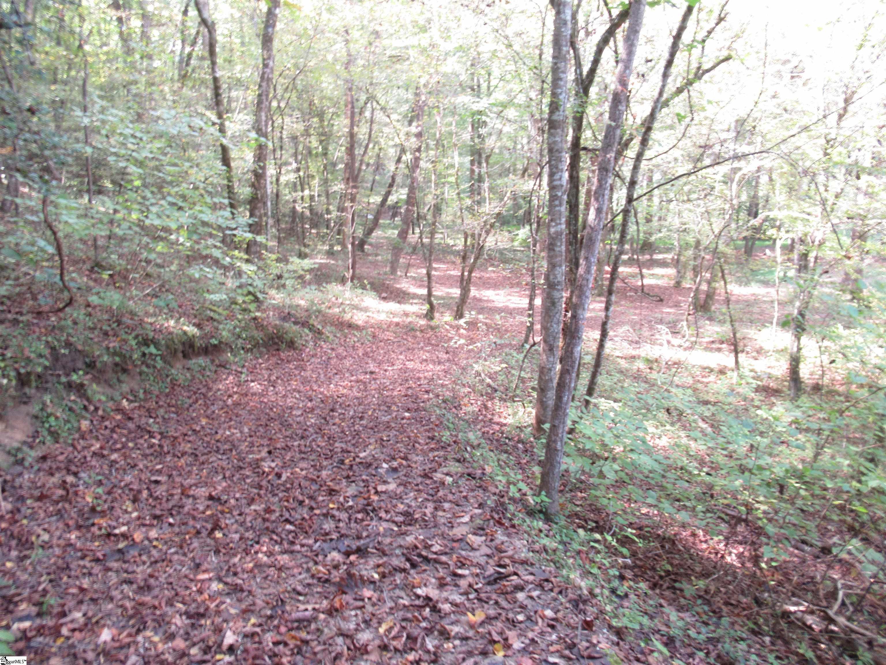 740 Sliding Rock Road Pickens, SC 29671 - Photo 29 of 50