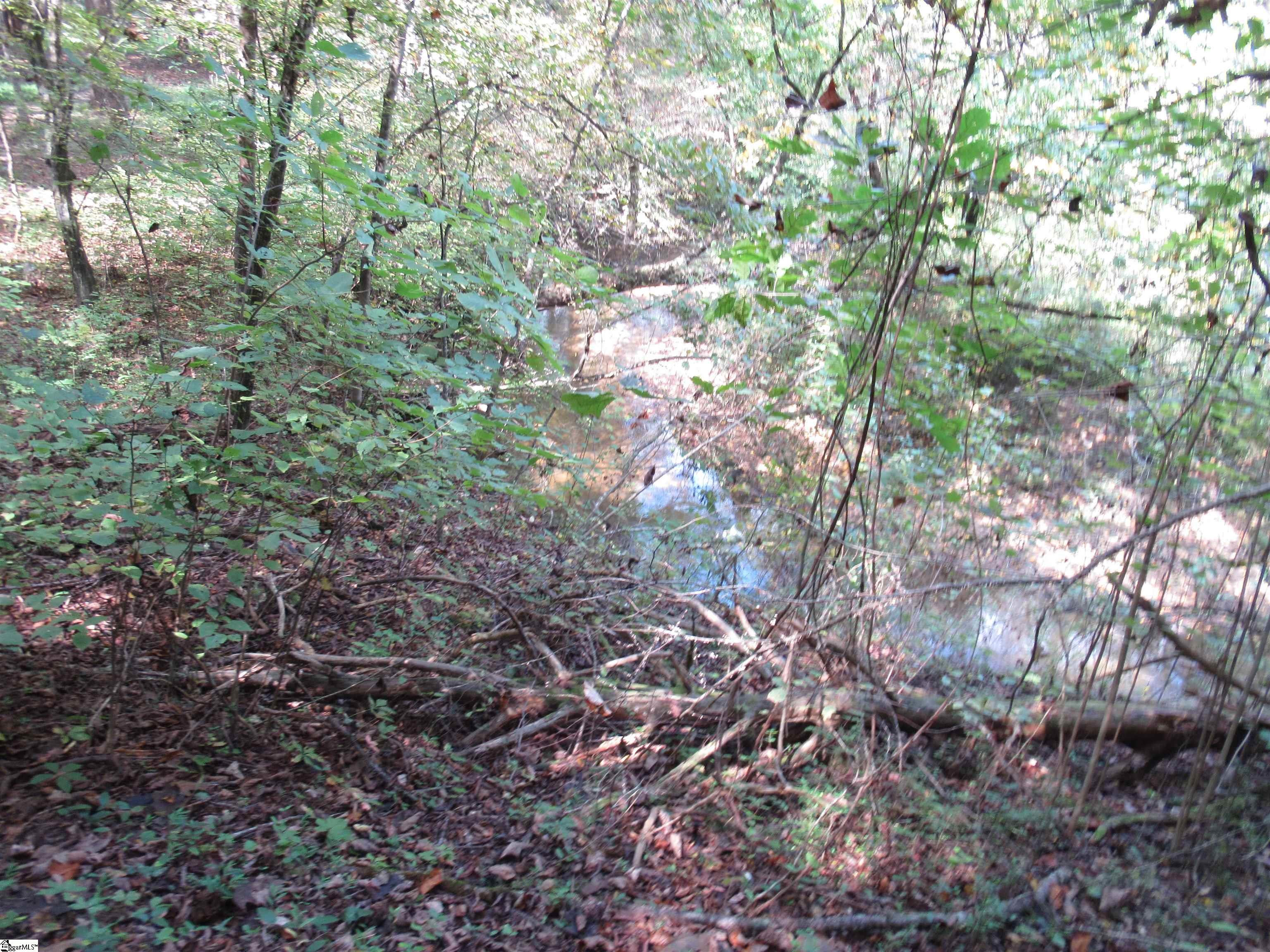 740 Sliding Rock Road Pickens, SC 29671 - Photo 30 of 50