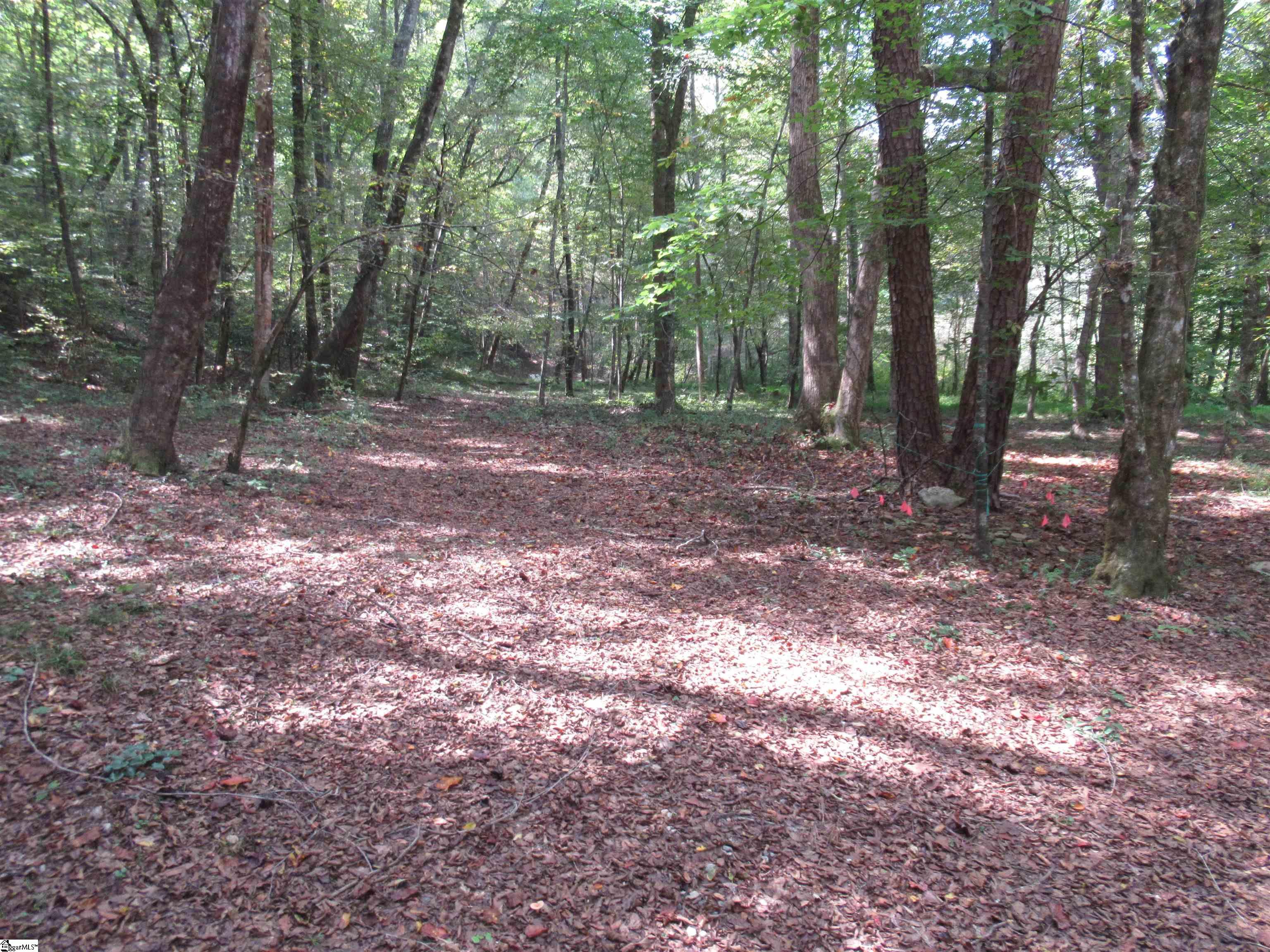 740 Sliding Rock Road Pickens, SC 29671 - Photo 33 of 50