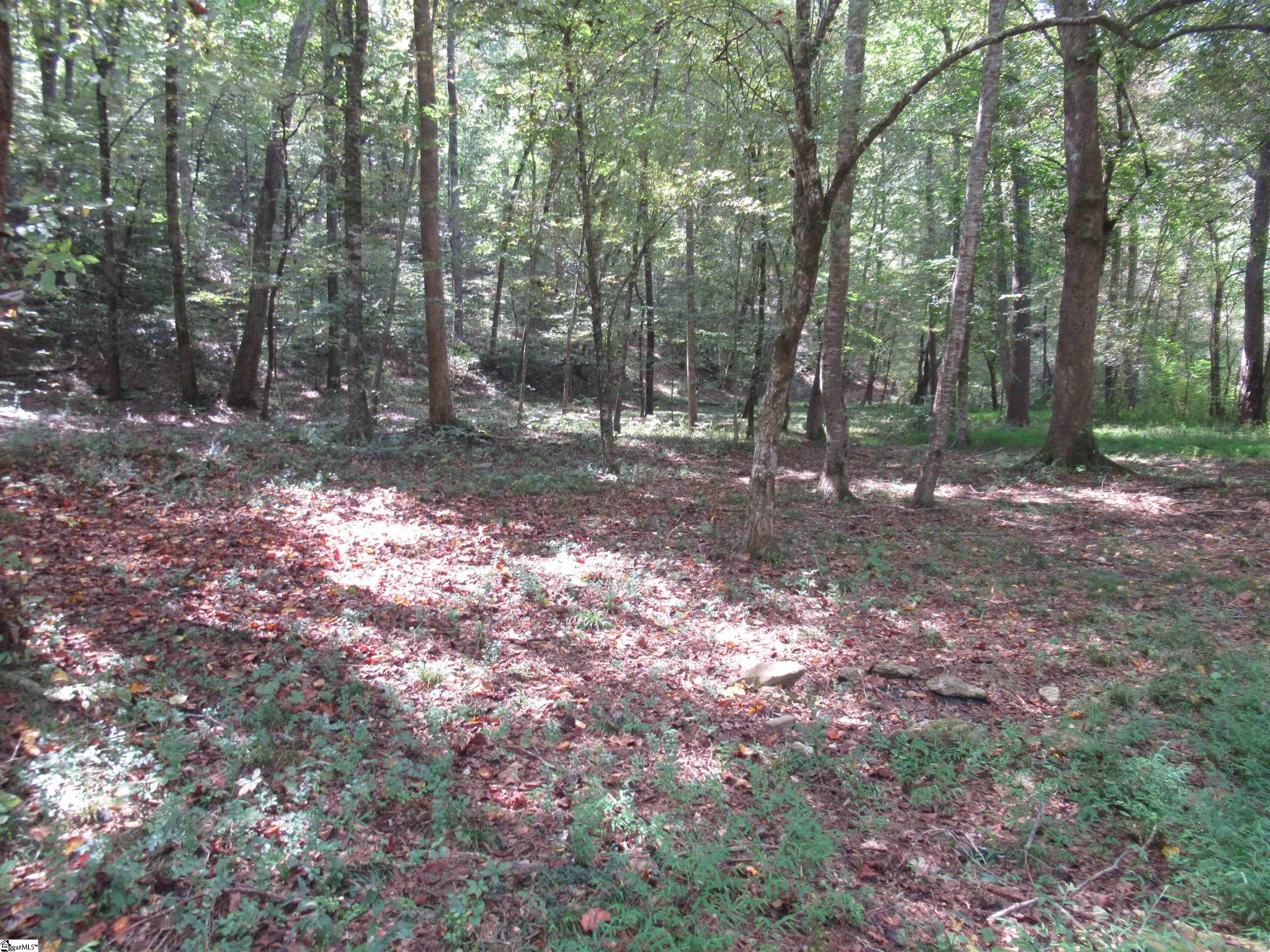 740 Sliding Rock Road Pickens, SC 29671 - Photo 35 of 50