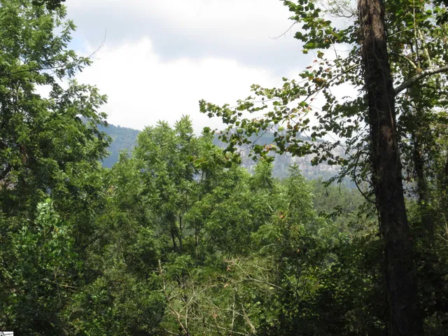 $399,000 | 740 Sliding Rock Road, Pickens, SC 29671