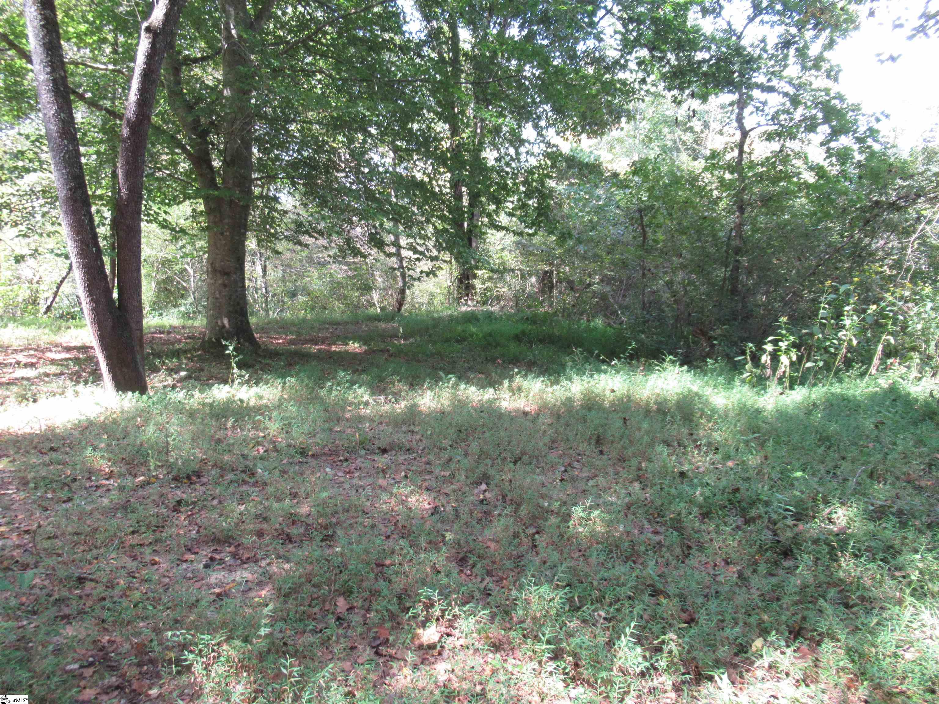 740 Sliding Rock Road Pickens, SC 29671 - Photo 39 of 50