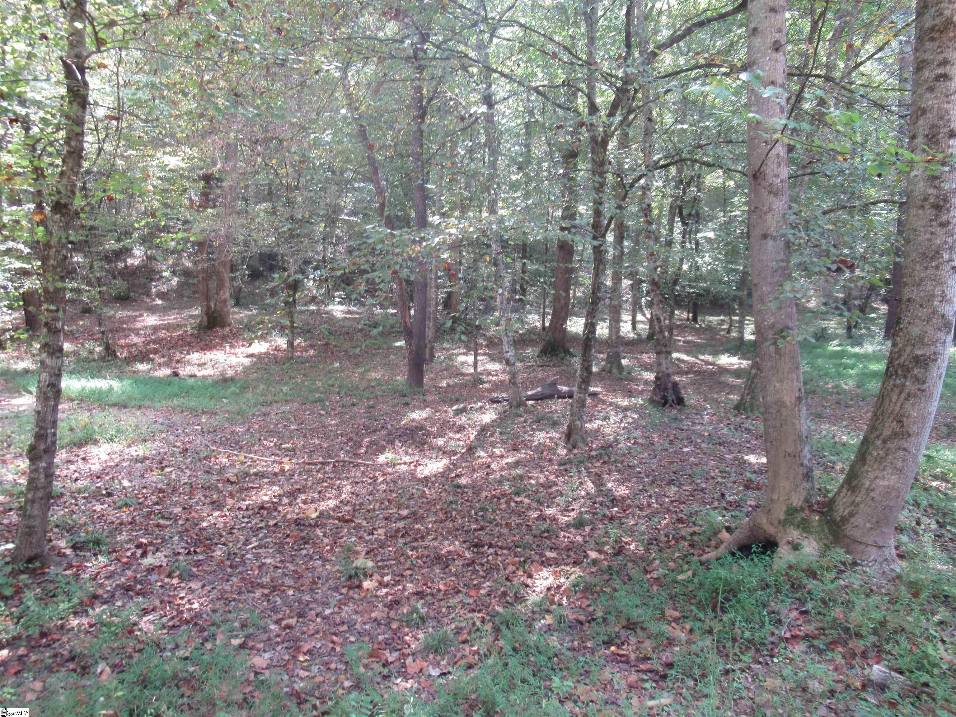 740 Sliding Rock Road Pickens, SC 29671 - Photo 40 of 50