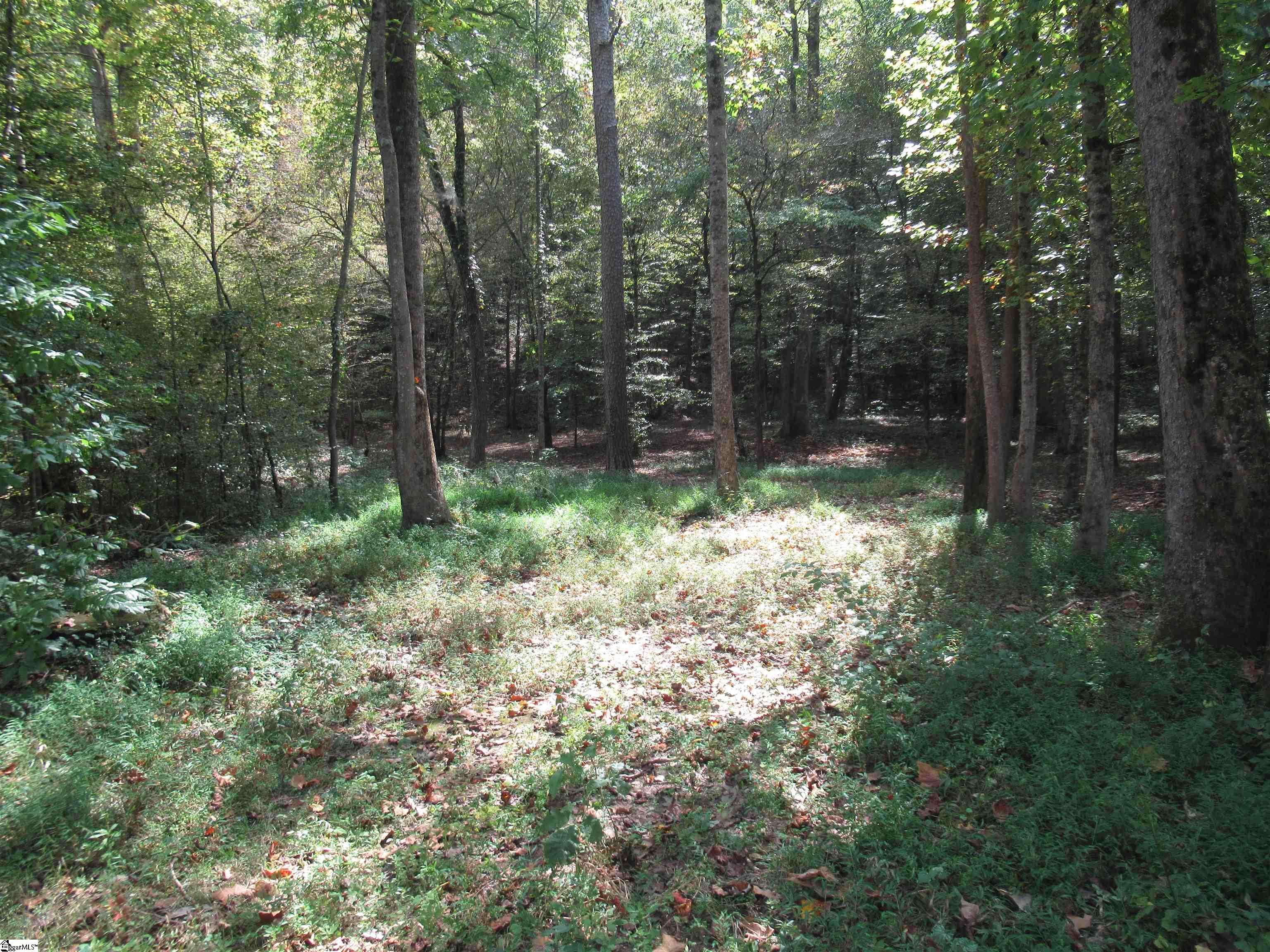 740 Sliding Rock Road Pickens, SC 29671 - Photo 41 of 50