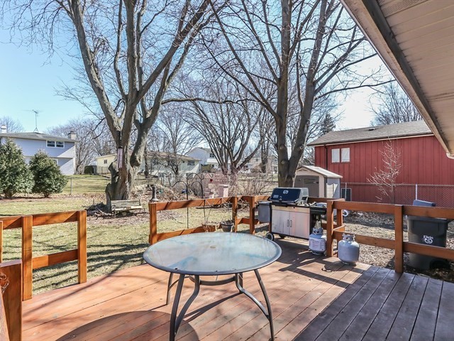 1237 Countryside Drive Elgin, IL 60123 - Photo 19 of 22