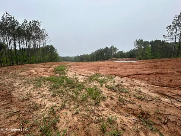 $79,000 | 605 Cr 442 Oxford Ms 38655, Randolph, MS 38864