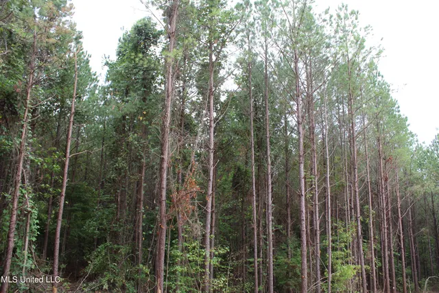 $79,000 | 605 Cr 442 Oxford Ms 38655, Pontotoc, MS 38863