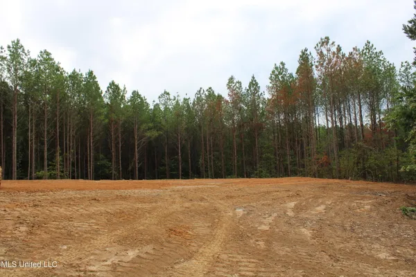 $79,000 | 605 Cr 442 Oxford Ms 38655, Randolph, MS 38864