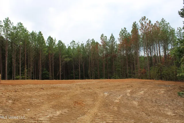 $79,000 | 605 Cr 442 Oxford Ms 38655, Pontotoc, MS 38863