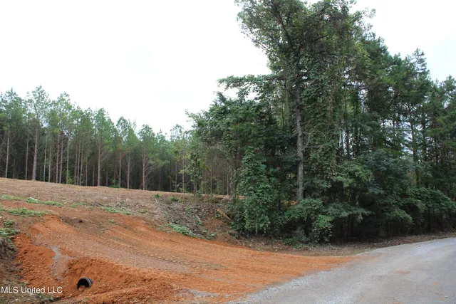 $79,000 | 605 Cr 442 Oxford Ms 38655, Pontotoc, MS 38863