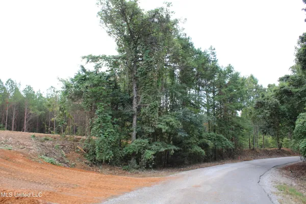 $79,000 | 605 Cr 442 Oxford Ms 38655, Randolph, MS 38864