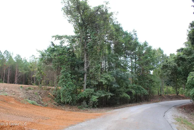 $79,000 | 605 Cr 442 Oxford Ms 38655, Pontotoc, MS 38863