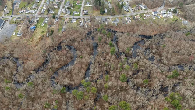 a view of a house with a lush green forest