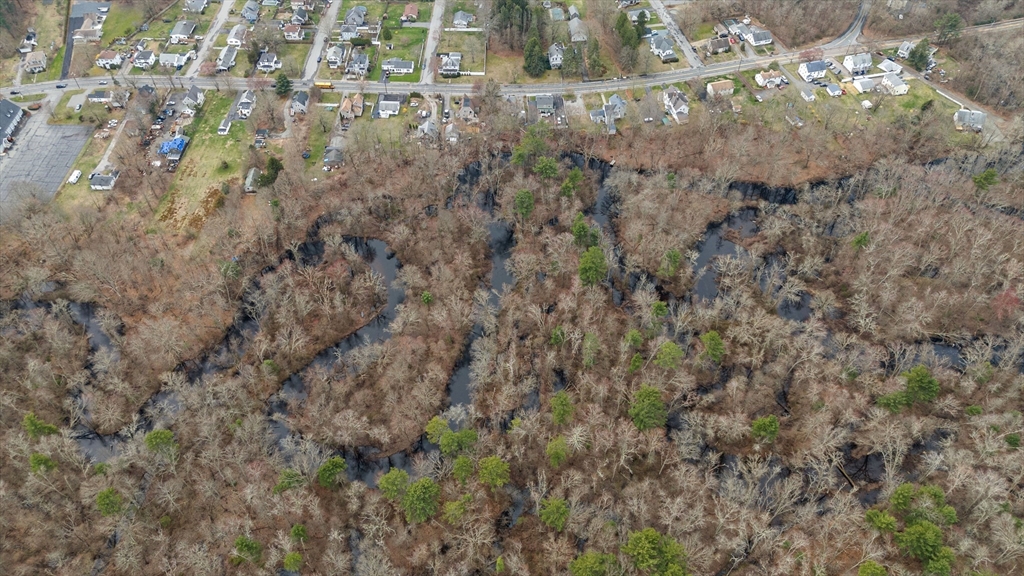 a view of a house with a lush green forest