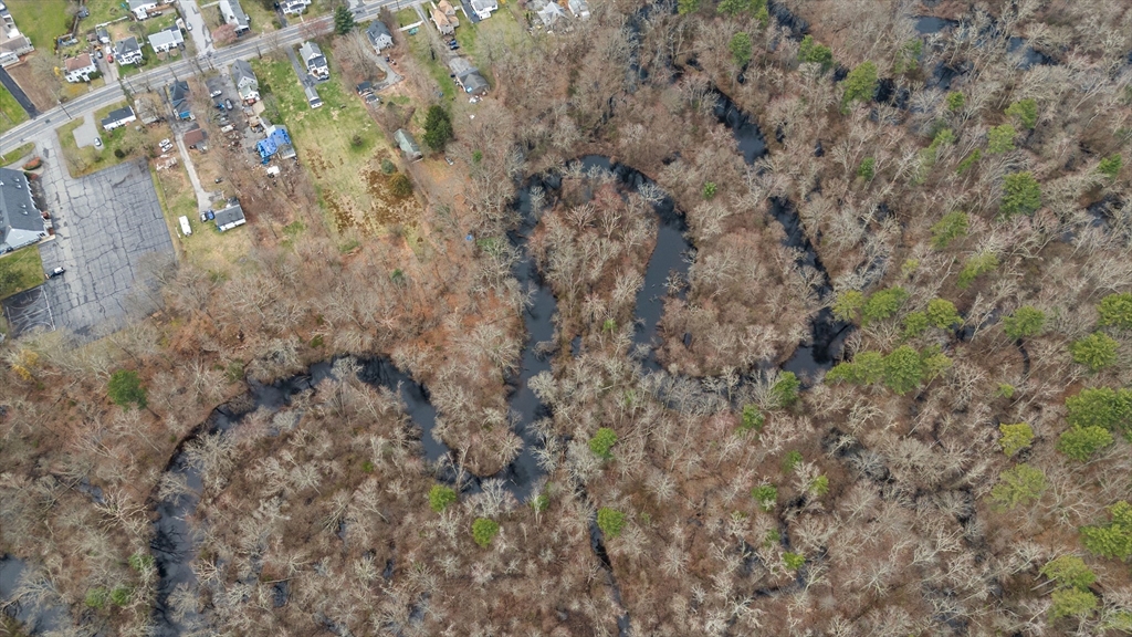0 Norton Avenue Taunton, MA 02780 - Photo 2 of 7 a view of a forest with a tree