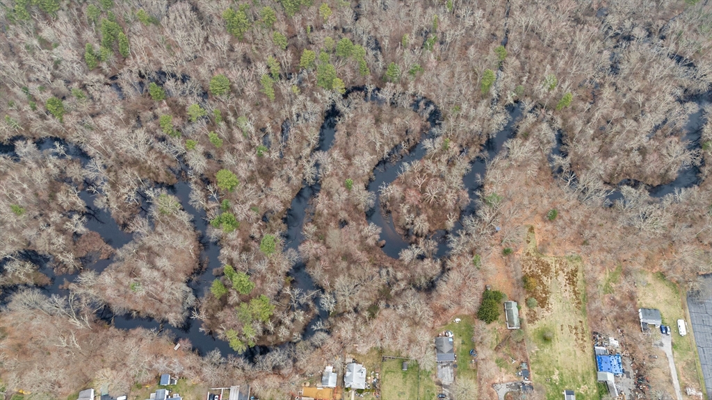 0 Norton Avenue Taunton, MA 02780 - Photo 3 of 7 a close up of a plant