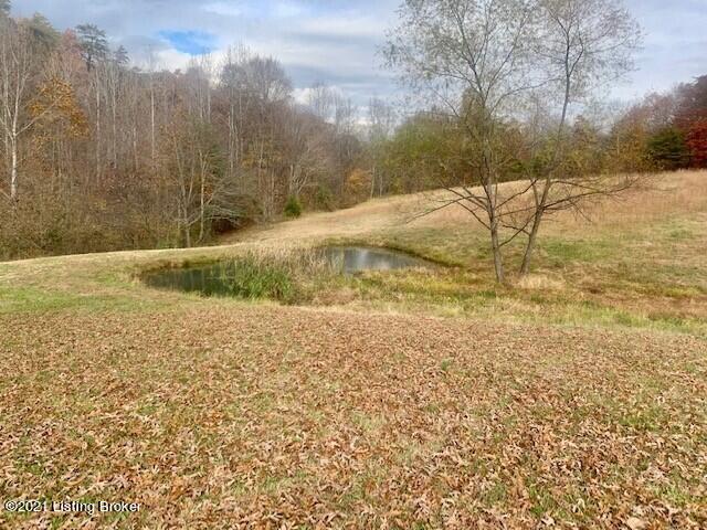 650 Lawler Road Cub Run, KY 42729 - Photo 9 of 23 spring fed pond