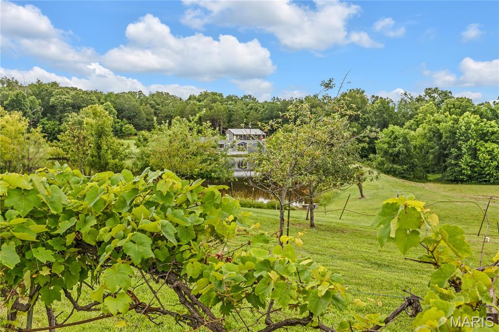 1824 Morre Road Owensville, MO 65066 - Photo 52 of 70