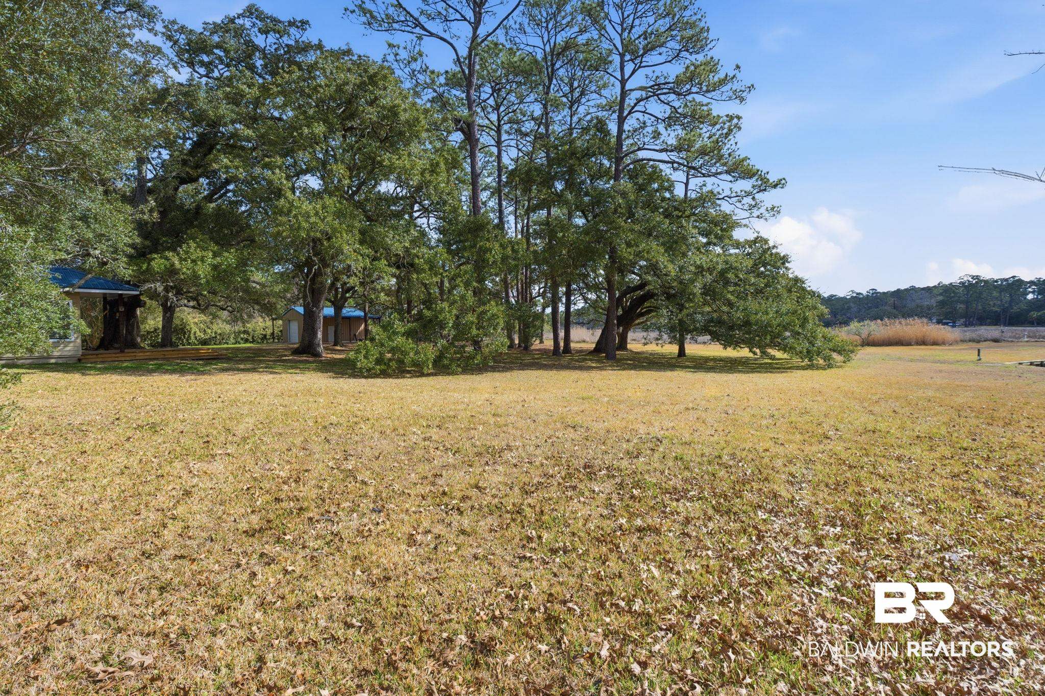 15025 Bellingrath Road Coden, AL 36523 - Photo 8 of 79 View of grassy yard