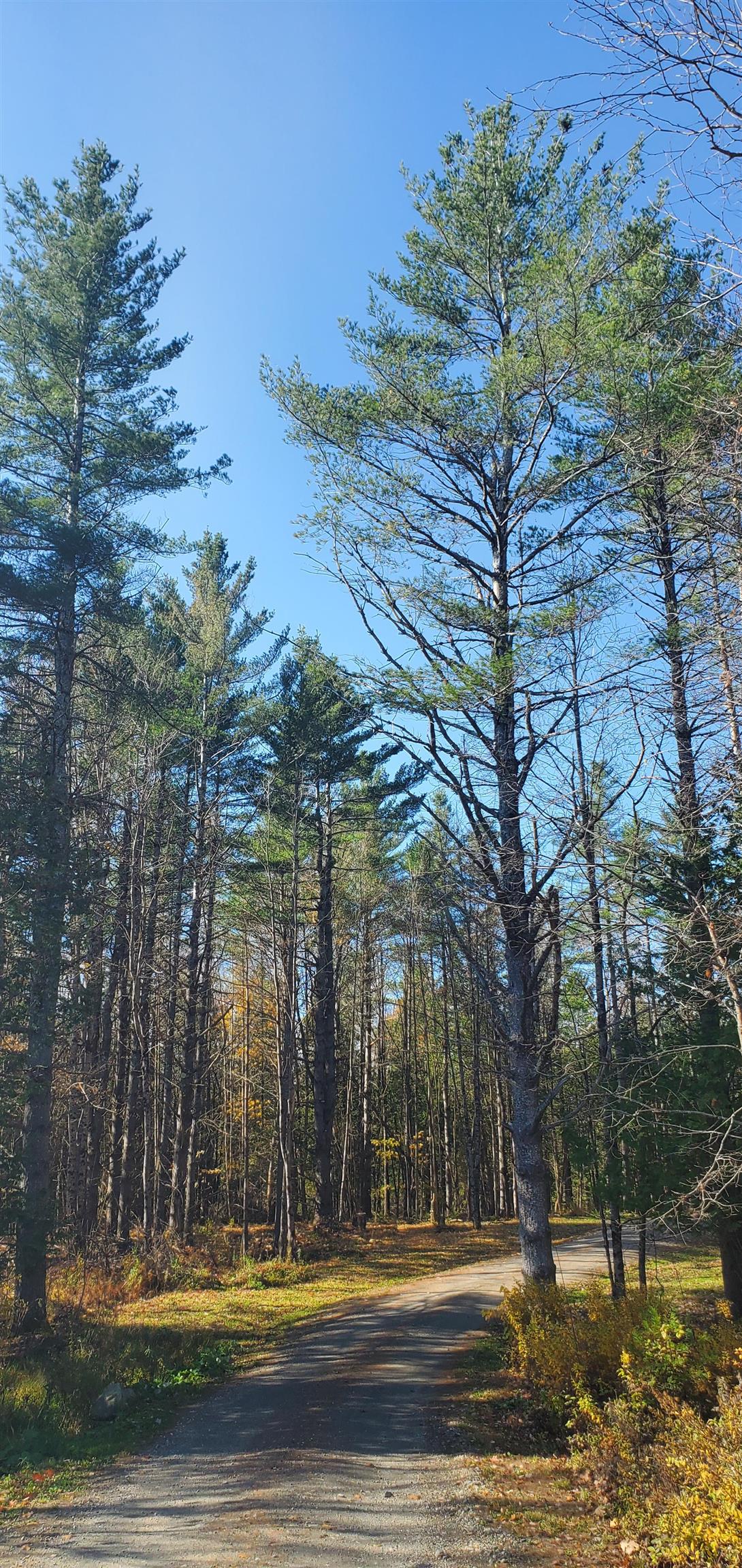 1594 Baptist Hill Road Lunenburg, VT 05906 - Photo 21 of 42