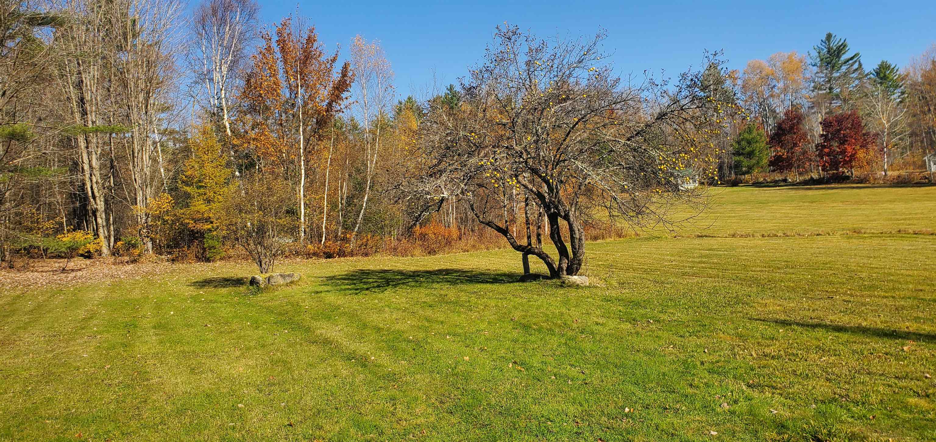 1594 Baptist Hill Road Lunenburg, VT 05906 - Photo 25 of 42