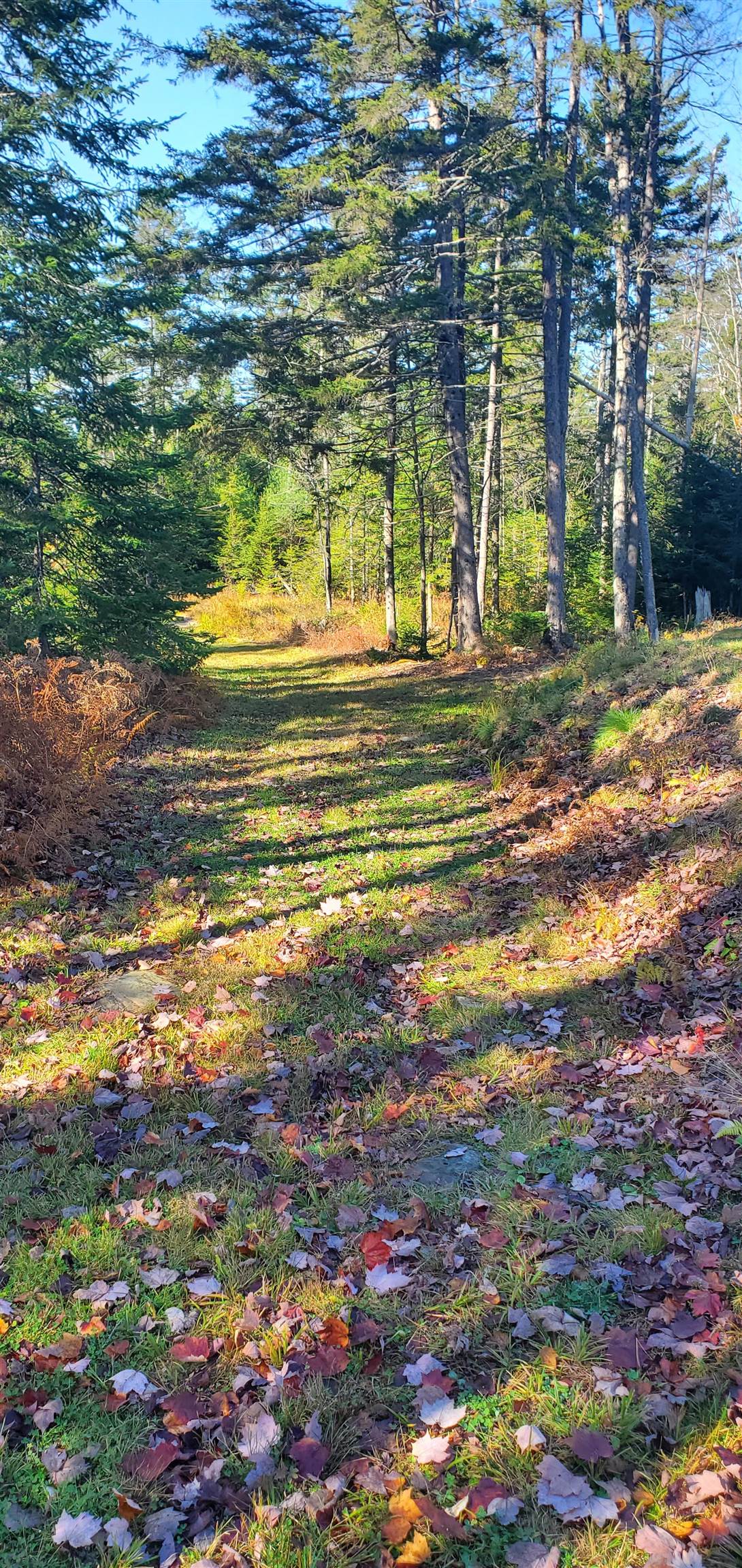 1594 Baptist Hill Road Lunenburg, VT 05906 - Photo 26 of 42