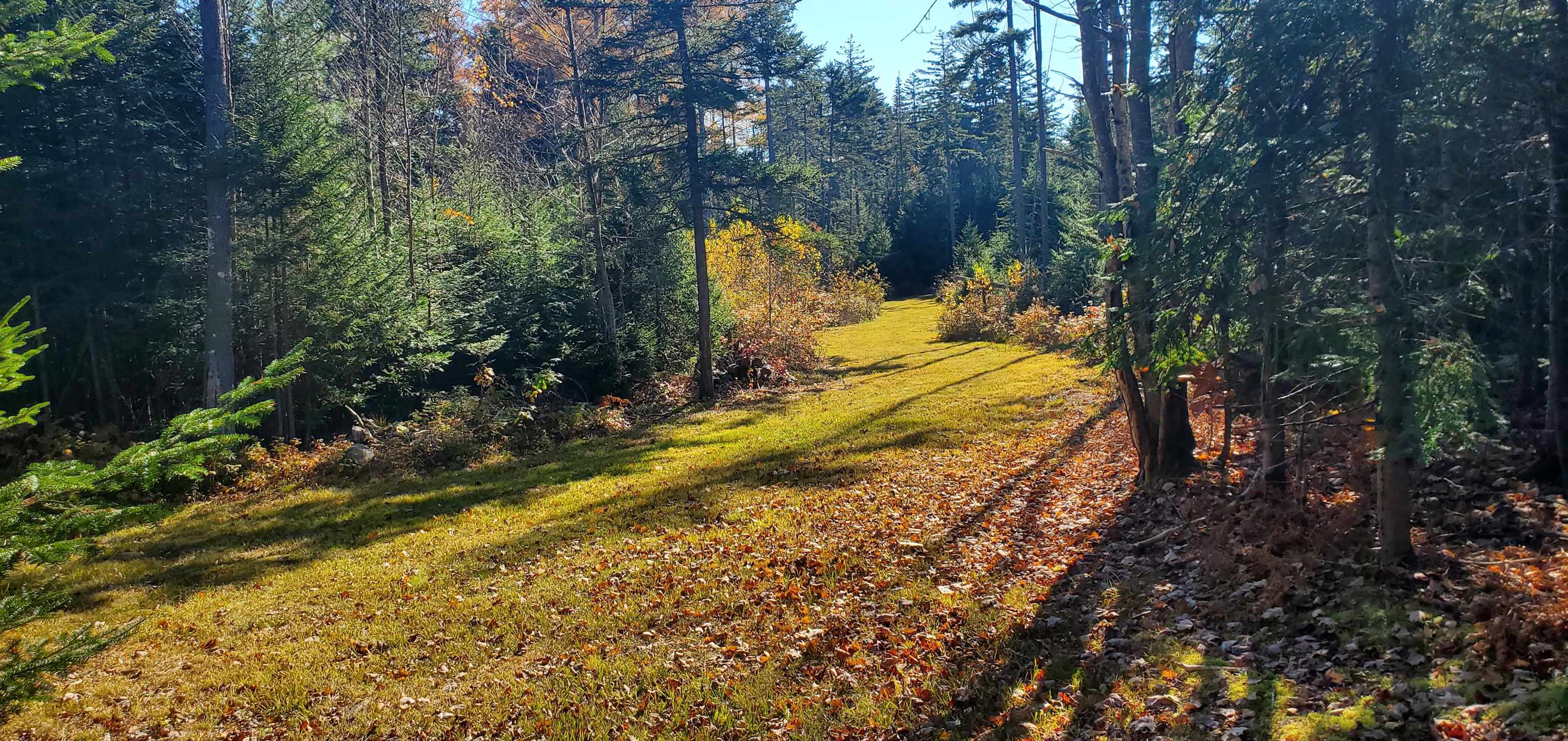 1594 Baptist Hill Road Lunenburg, VT 05906 - Photo 27 of 42