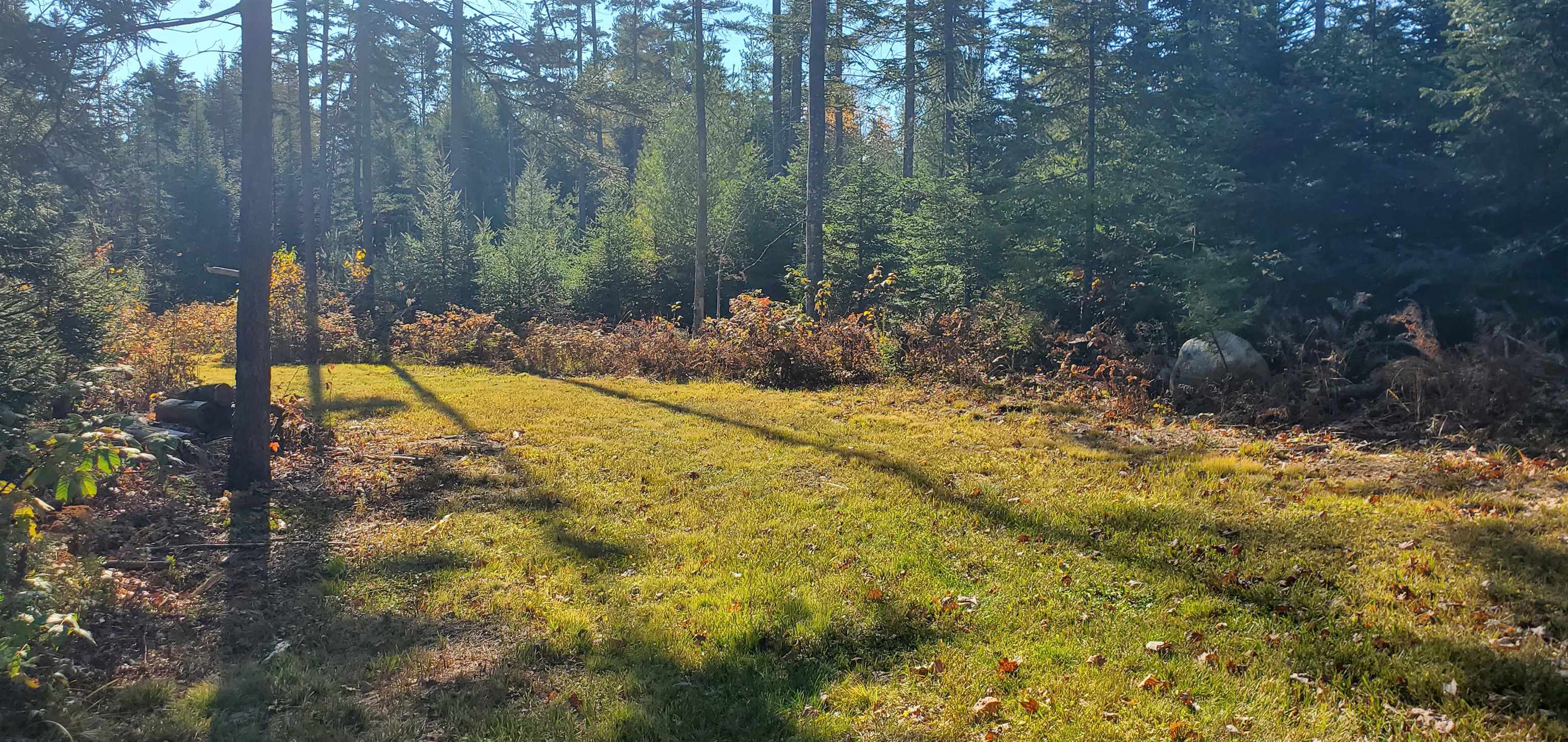 1594 Baptist Hill Road Lunenburg, VT 05906 - Photo 28 of 42