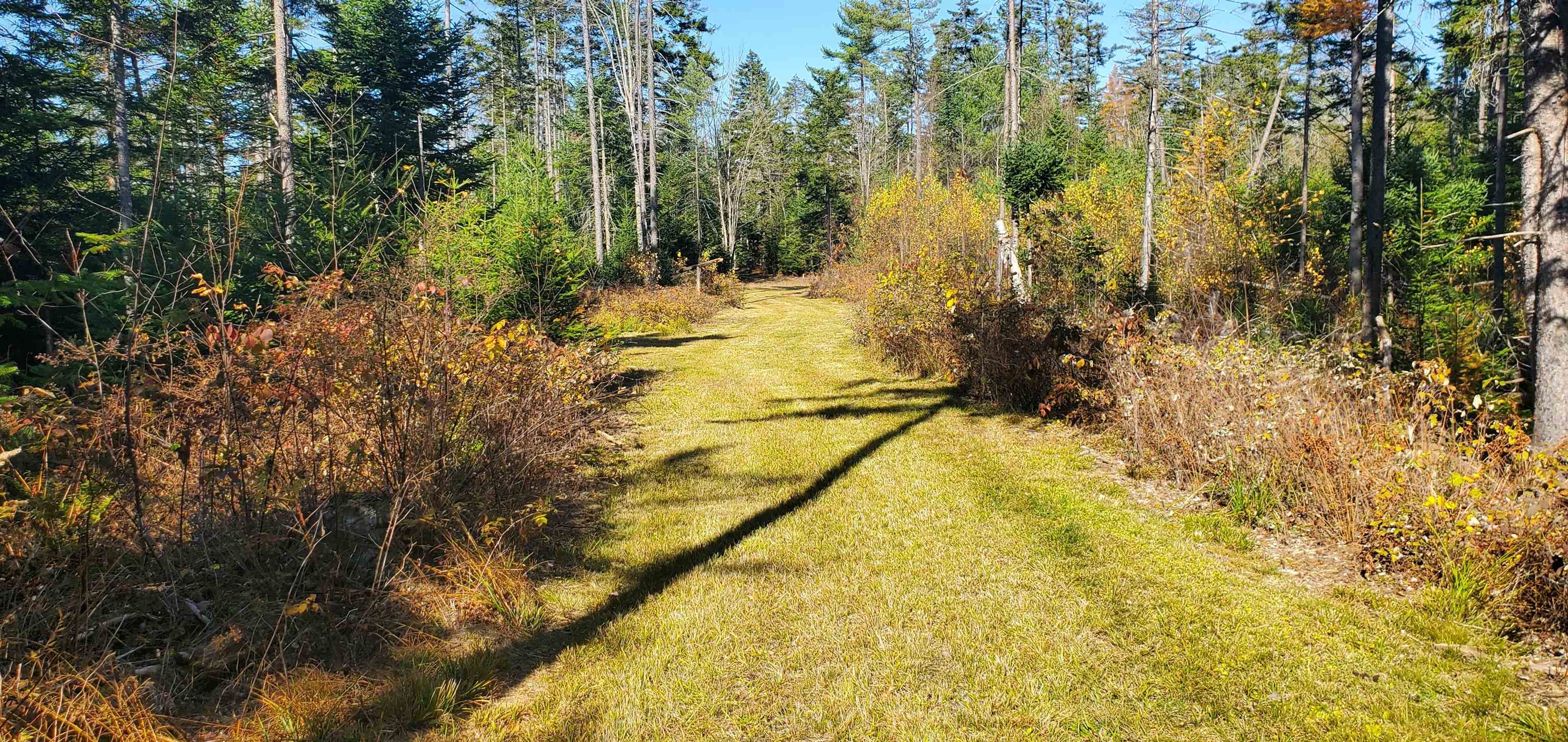 1594 Baptist Hill Road Lunenburg, VT 05906 - Photo 29 of 42