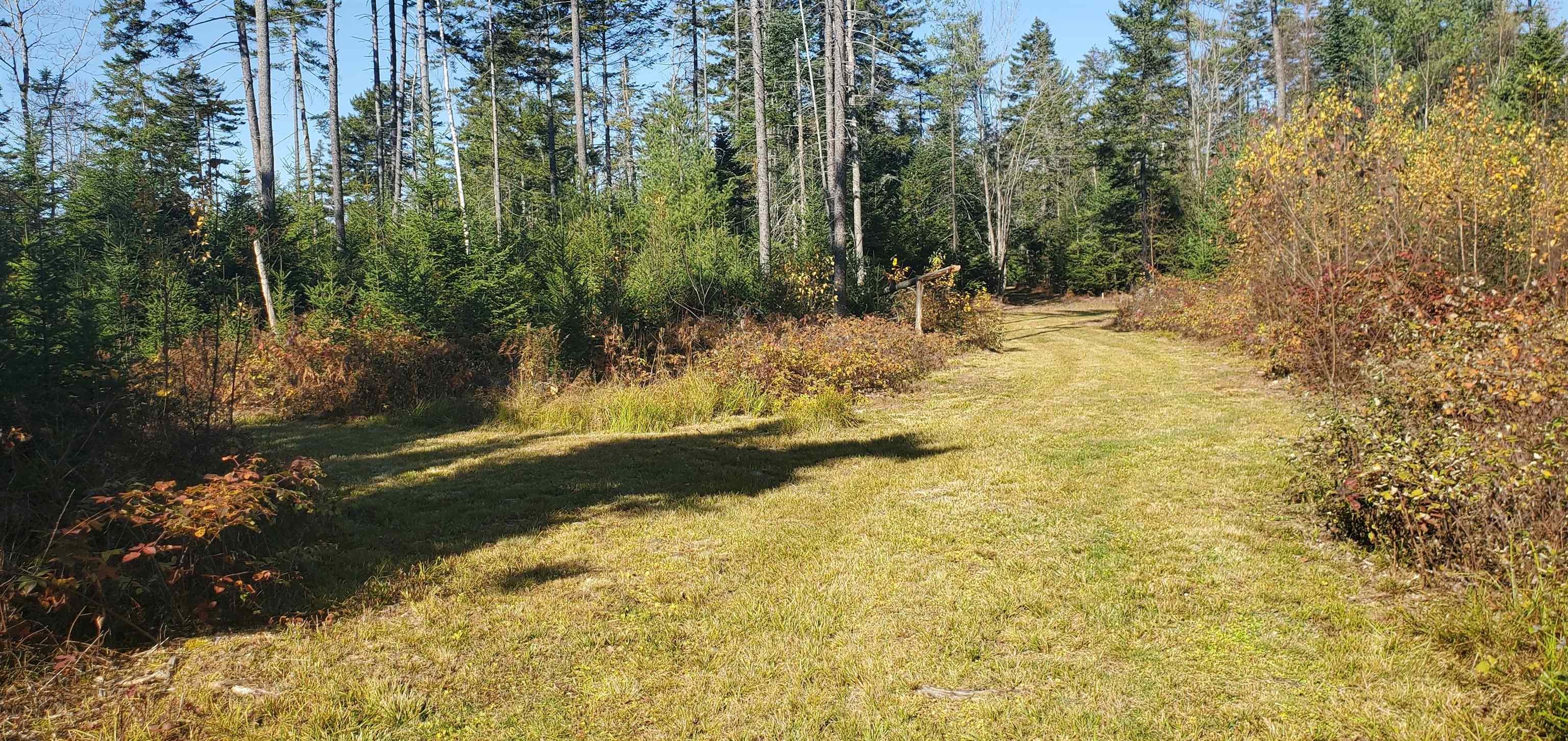 1594 Baptist Hill Road Lunenburg, VT 05906 - Photo 30 of 42