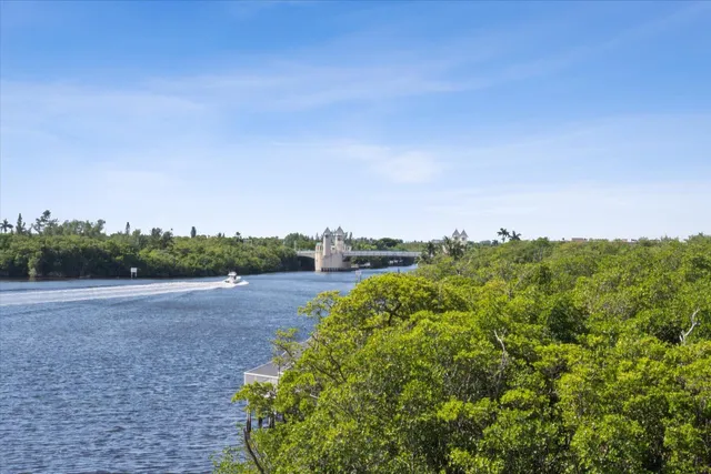 a view of a field with plants and trees