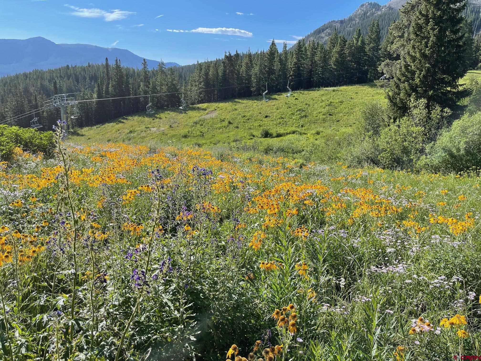 104 Bear Scratch Ln Mt