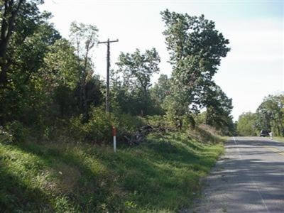 Primary Photo