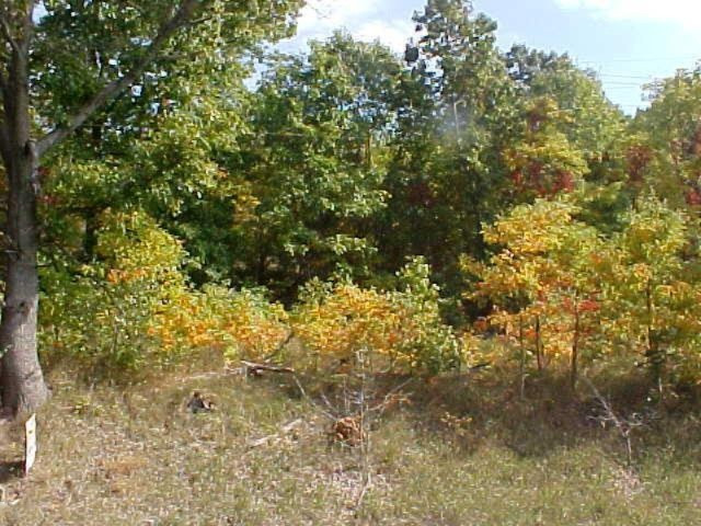 8601 Marsh Road Plainwell, MI 49080 - Photo 3 of 7 Additional Photo