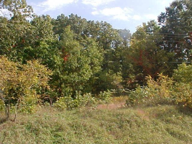 8601 Marsh Road Plainwell, MI 49080 - Photo 5 of 7 Additional Photo