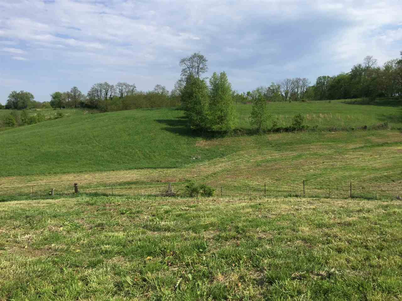 123 Napoleon Ridge Road Warsaw, KY 41095 - Photo 4 of 8