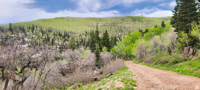 1920 Elk Road, Unit 78 Coalville, UT 84017 - Photo 6 of 23 Top road access