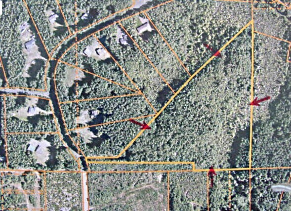 a city view with tall trees