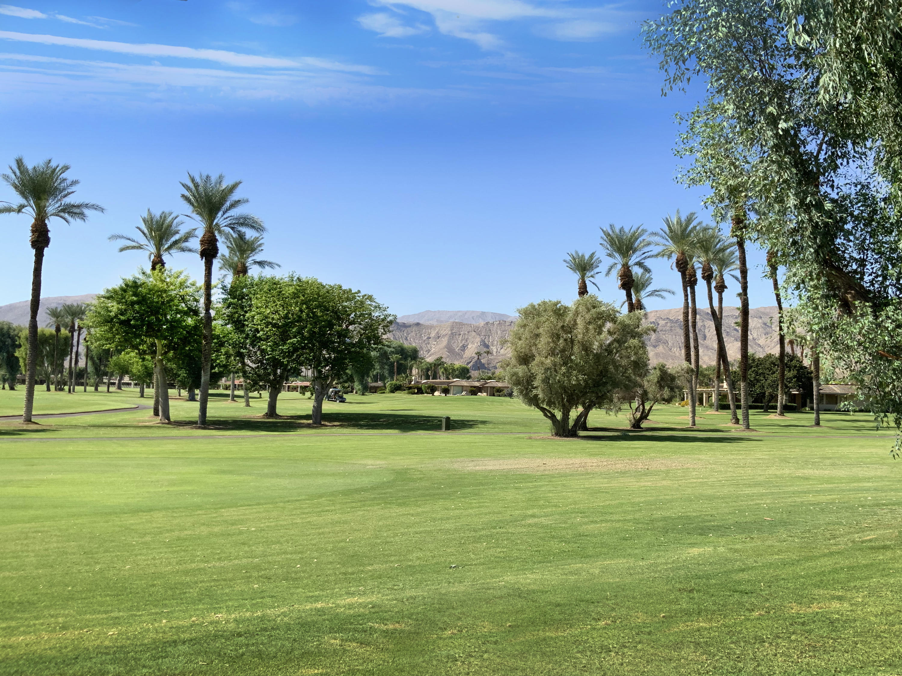 7 Princeton Drive Rancho Mirage, CA 92270 - Photo 22 of 39 a front view of a house with a big yard and palm trees