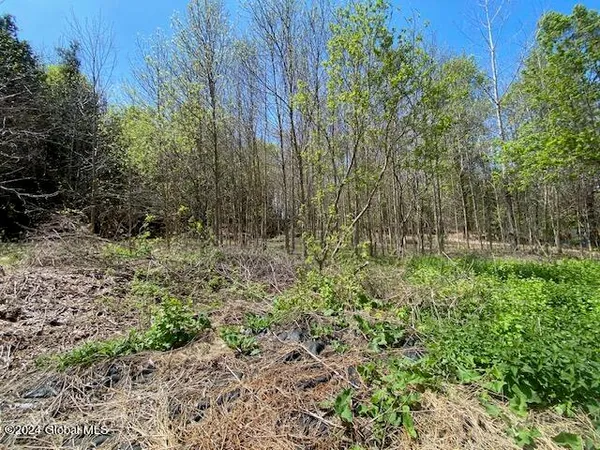 $60,000 | 9n Moriah Ny 12974, Port Henry, NY 12974