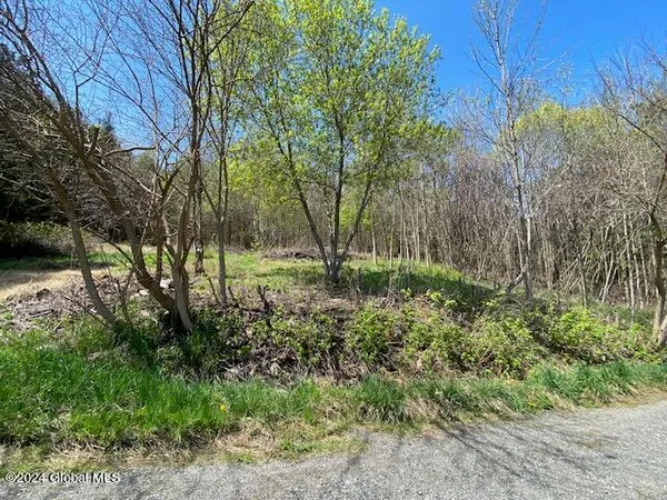 $60,000 | 9n Moriah Ny 12974, Port Henry, NY 12974