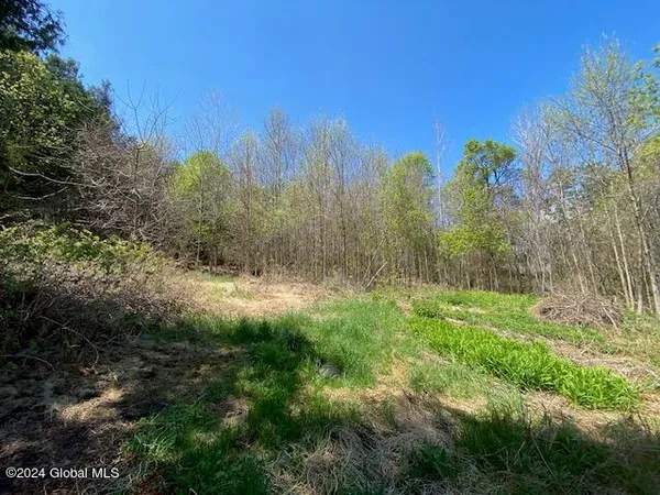 $60,000 | 9n Moriah Ny 12974, Port Henry, NY 12974