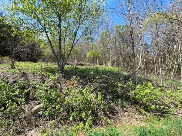 $60,000 | 9n Moriah Ny 12974, Port Henry, NY 12974