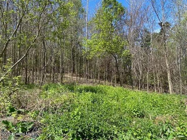 $60,000 | 9n Moriah Ny 12974, Port Henry, NY 12974