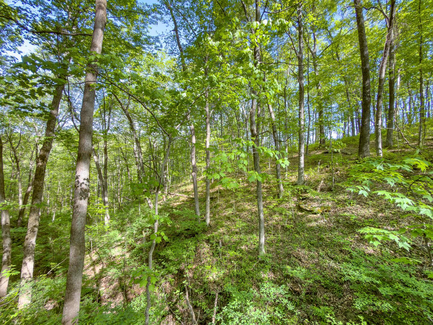 1 Perry Ridge Road Wilkesville, OH 45695 - Photo 15 of 19 Perry Ridge Rd Tract 1-11