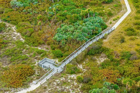a close up of a plant in a garden