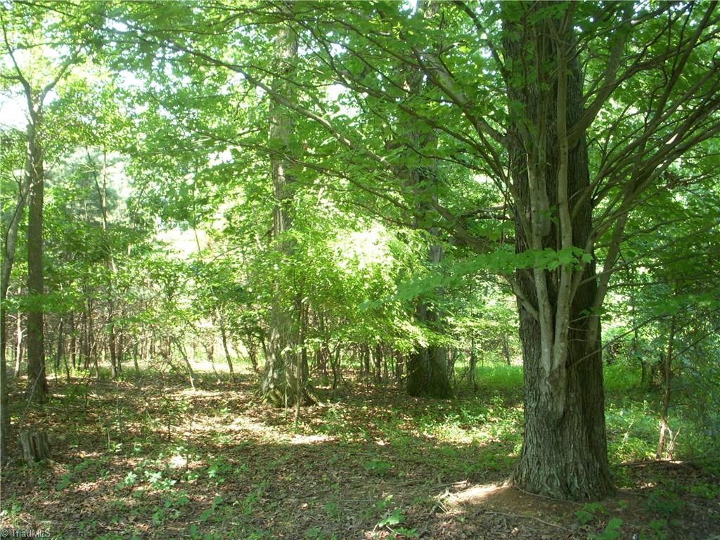 0 Hiatt Road Mount Airy, NC 27030 - Photo 3 of 8 Another possible homesite.