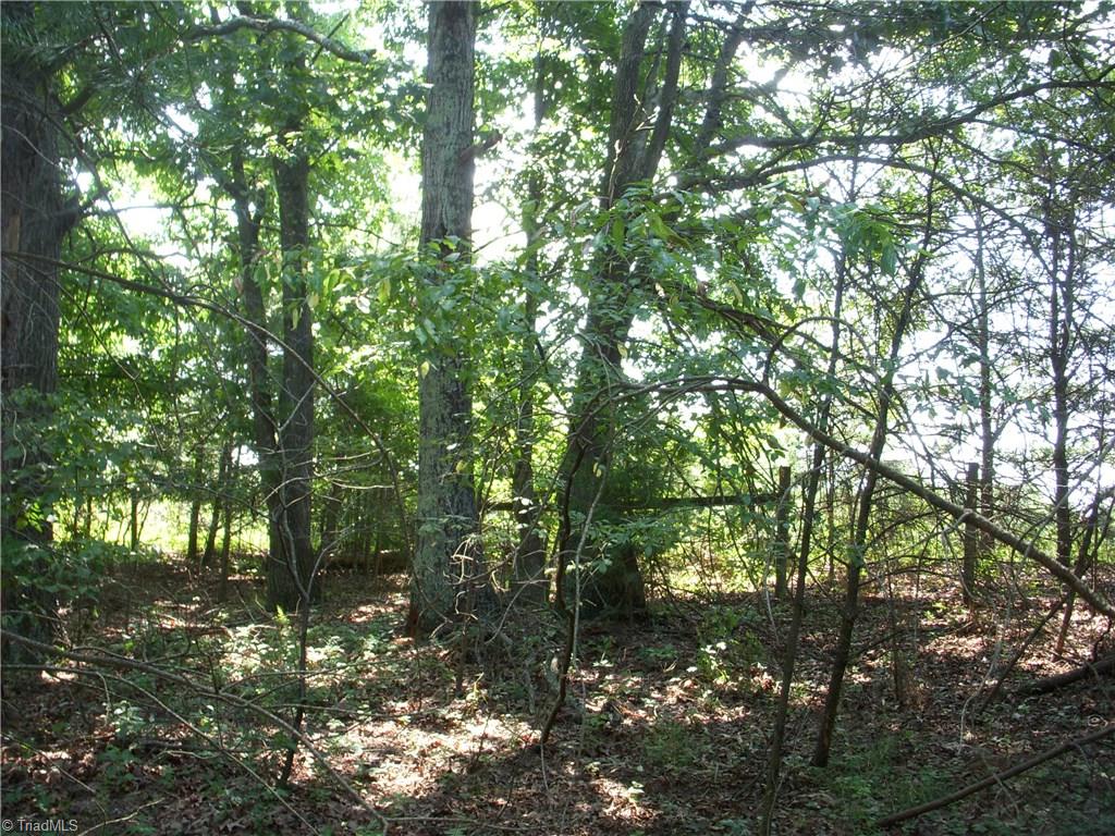 0 Hiatt Road Mount Airy, NC 27030 - Photo 5 of 8 There is a fence that separates this tract of land from I-74