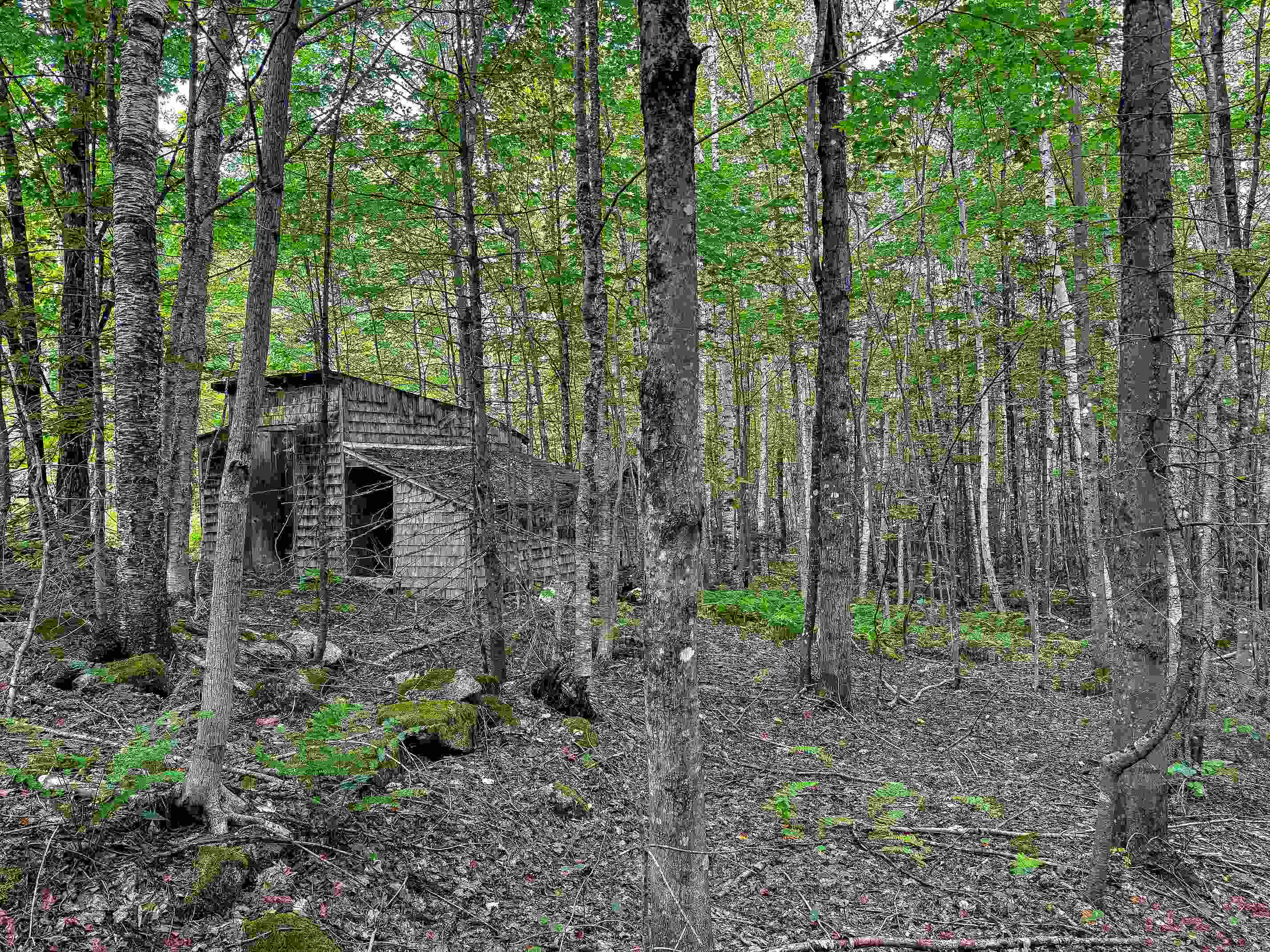 1832 Kinney Hill Road Newark, VT 05871 - Photo 5 of 13 Gallery Image 5