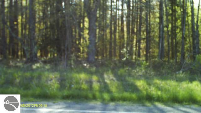 Healey Lake Road Thompsonville, MI 49683 - Photo 9 of 14 1735748-10.JPG